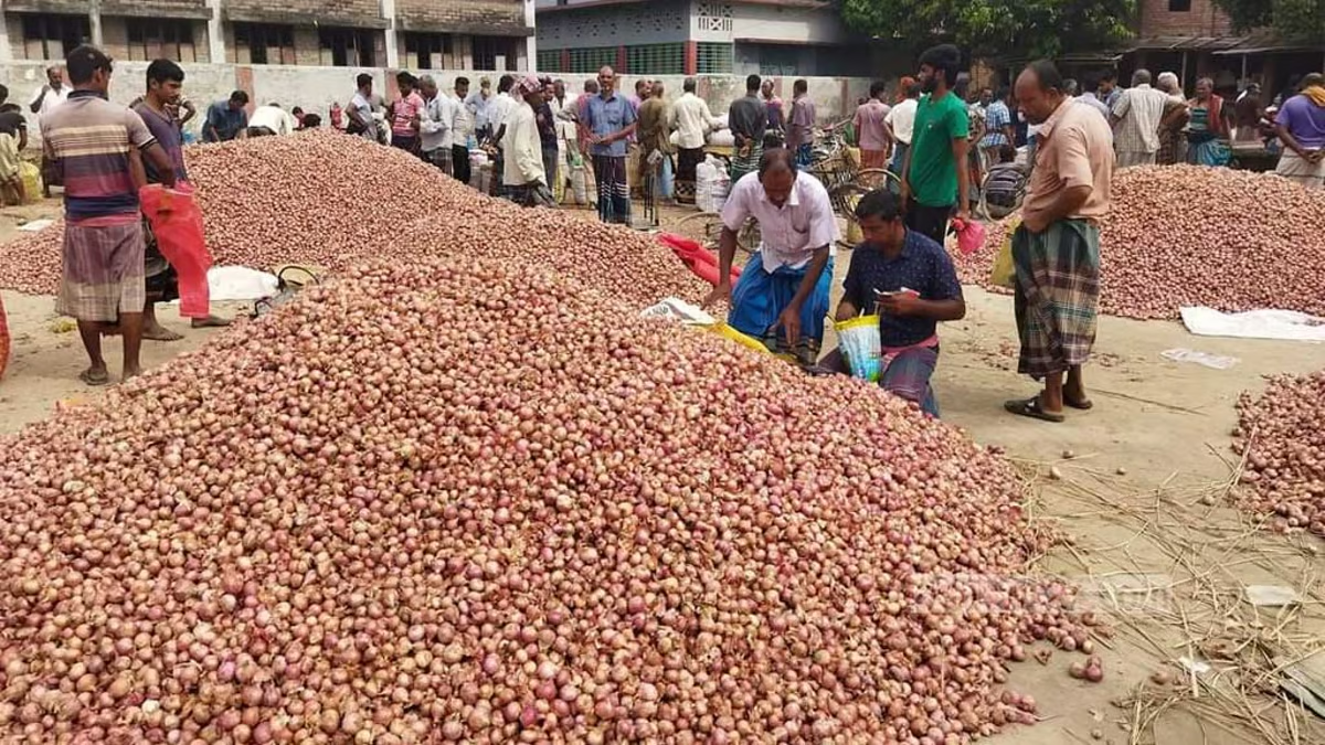 আমদানির পরও বাড়ছে পেঁয়াজের মূল্য