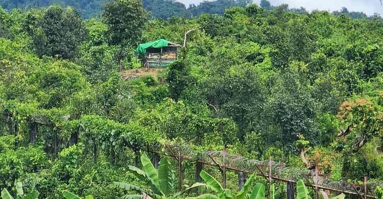 বাংলাদেশে আশ্রয় নিলেন মিয়ানমারের আরও ৩ সেনা