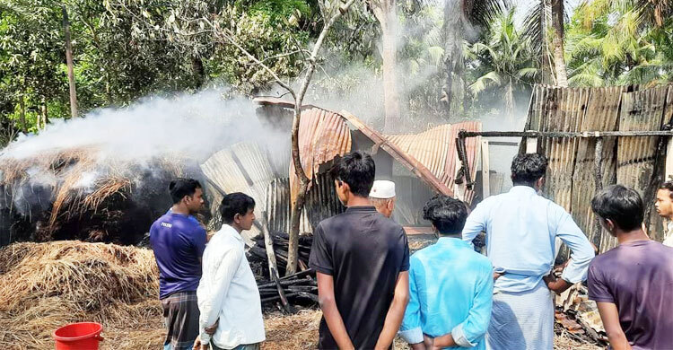 গোয়ালঘরে শত্রুতার আগুনে পুড়লো ৩ গরু