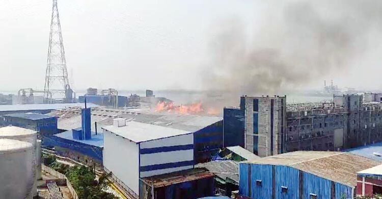 মুন্সিগঞ্জে বোর্ড তৈরির কারখানায় ভয়াবহ আগুন