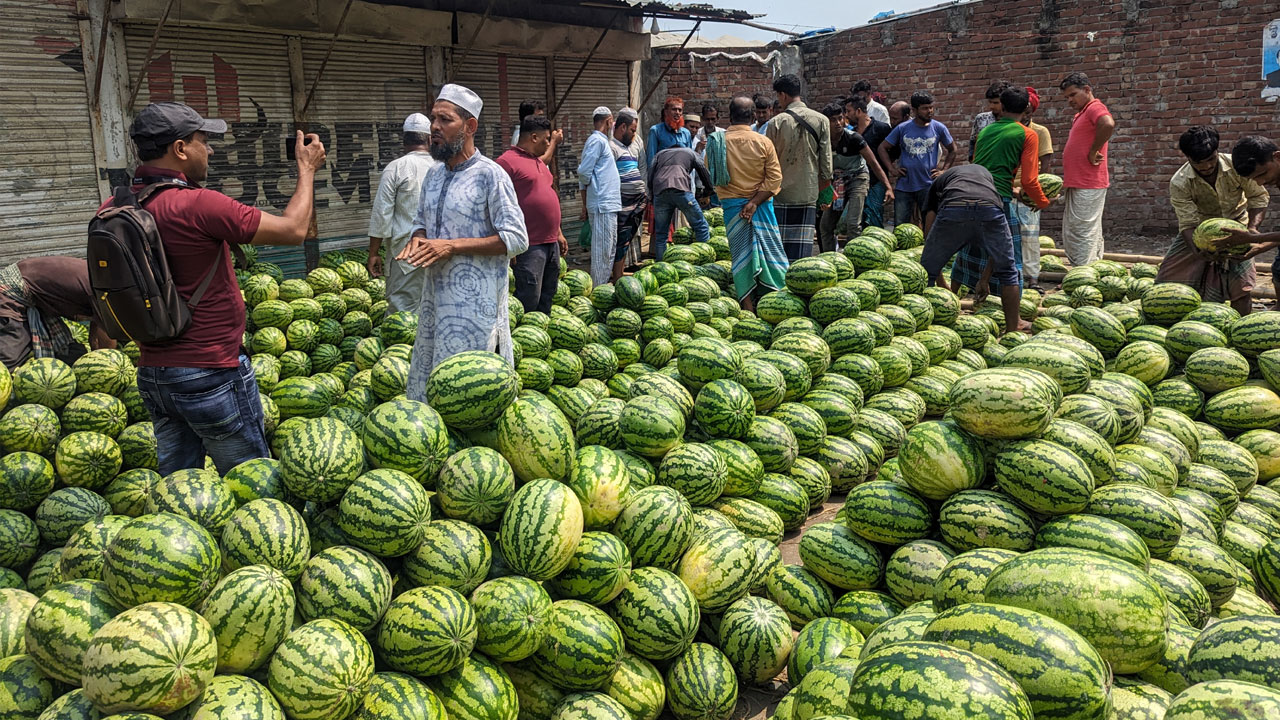 প্রতিদিন কোটি টাকার তরমুজ বিক্রি হয় যে হাটে