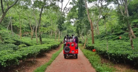 দেশের মধ্যে ভ্রমণে আগ্রহ বাড়ার ফলে এবার ঈদে দেশীয় পর্যটনে আয় ২ হাজার কোটি টাকা ছাড়িয়েছে