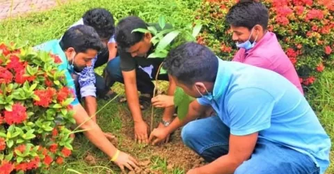 আজ থেকে ছাত্রলীগের ১০ দিনের পাঁচ লাখ গাছ লাগানোর কার্যক্রম শুরু 