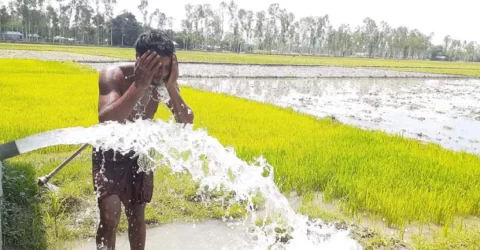 বৃহস্পতিবার থেকে তাপমাত্রা আরও বাড়বে