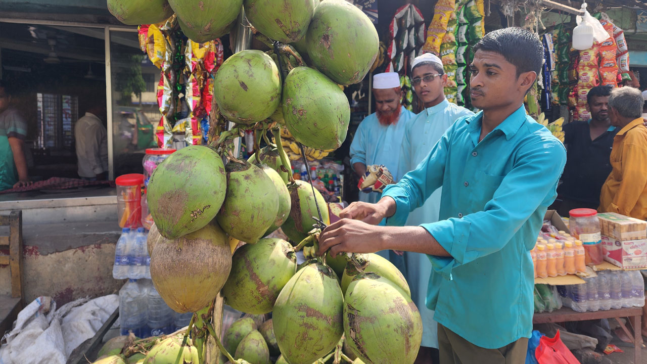 তীব্র গরমে বেড়েছে ডাবের চাহিদা, সঙ্গে দাম