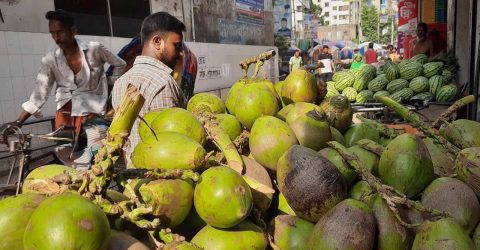 তীব্র তাপপ্রবাহেও ক্রেতা নেই ‘বিলাসী পণ্য’ ডাবের