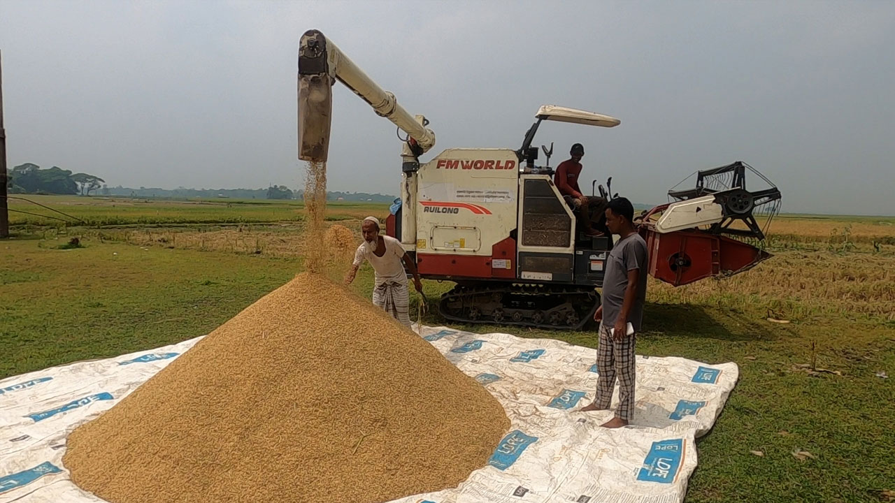 কম্বাইন হারভেস্টারের সুফল পাচ্ছেন হাওরের কৃষকরা