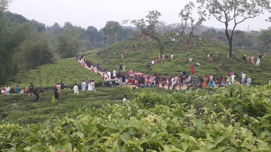 প্রকৃতির লীলাভূমি সিলেটে পর্যটকদের ভিড়