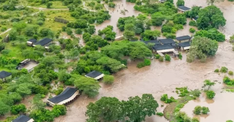 কেনিয়ায় বন্যা, মাসাইমারায় আটকা বহু পর্যটক