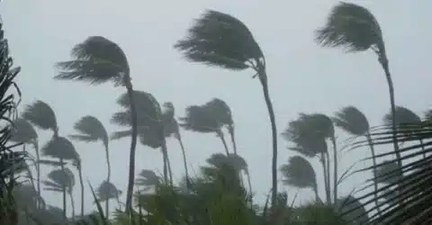 ৮০ কিলোমিটার বেগে ঝড়ের আভাস, নদীবন্দরে হুঁশিয়ারি সংকেত