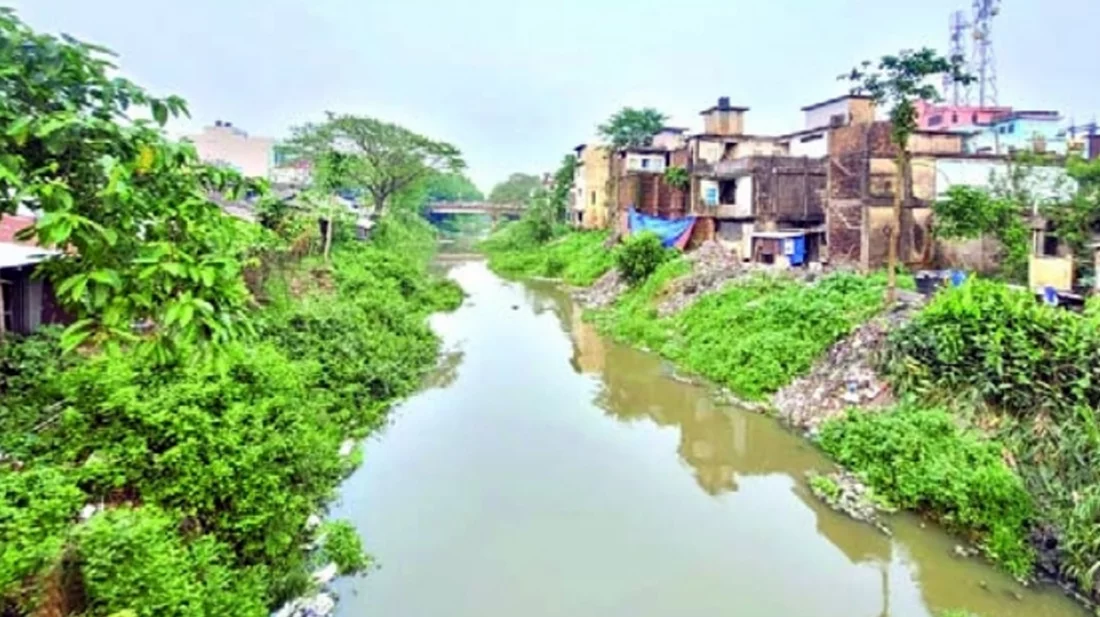 বিশ্বনাথে দখল দূষণেবিপন্ন বাসিয়া নদী