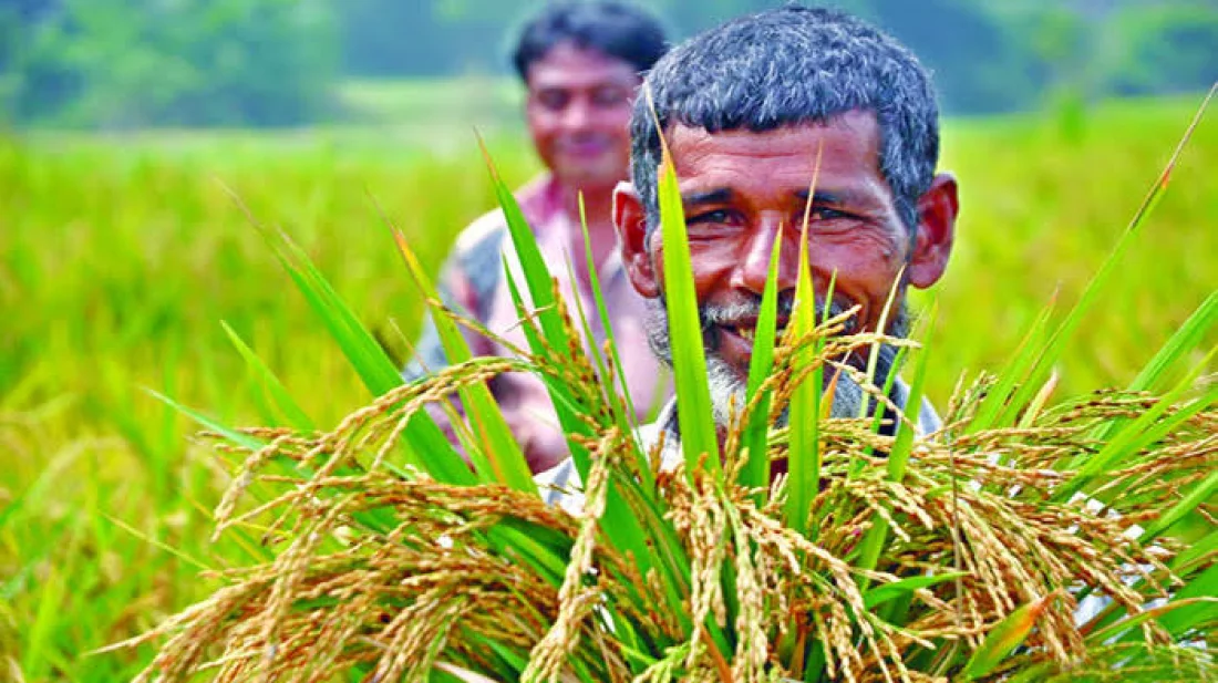 সংশোধিত বাজেটে কৃষি খাতে ভর্তুকি ৮ হাজার কোটি টাকা বেড়েছে