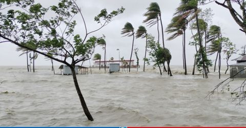 ঘূর্ণিঝড়ে ক্ষতি পৌনে ২ লাখ হেক্টর ফসলি জমি