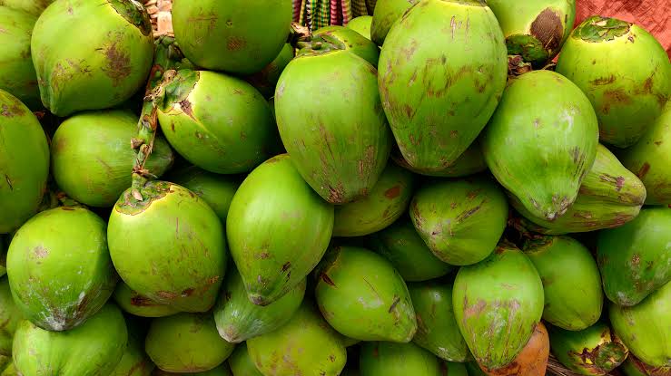 বরগুনায় ডাবের দাম উঠেছে ২২০ টাকা