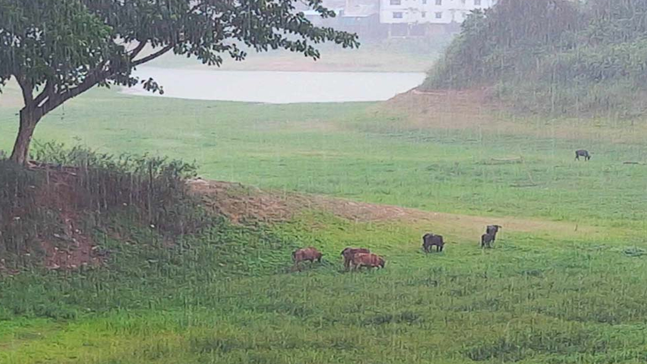 রাঙামাটিতে বজ্রপাতে দুইজনের মৃত্যু