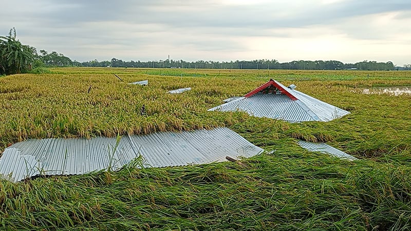 নাসিরনগরে কালবৈশাখীতে ক্ষতিগ্রস্ত ৪০ বাড়ি, বিদ্যুৎ নেই ১৩০ গ্রামে