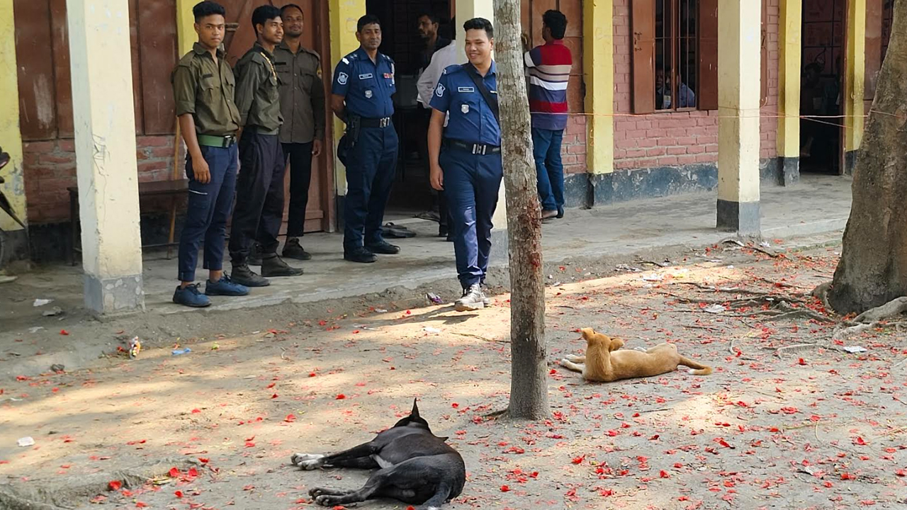 ৩ ঘণ্টায় ভোট পড়েছে মাত্র ১৯টি