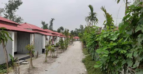 ১৮ হাজার ৫৬৬টি পরিবার পেল প্রধানমন্ত্রীর উপহারের ঘর-জমি