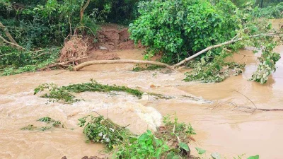 ৩ নদীর ১১ বাঁধ ভেঙে ফেনীর ৭০ গ্রাম প্লাবিত, ফুলগাজী ও পরশুরামের সঙ্গে যোগাযোগ বিচ্ছিন্ন