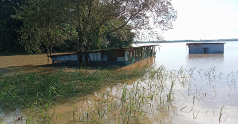 ভয়াবহ বন্যায় কুমিল্লায় ৮৪৮ কোটি টাকার কৃষি ফসলের ক্ষতি