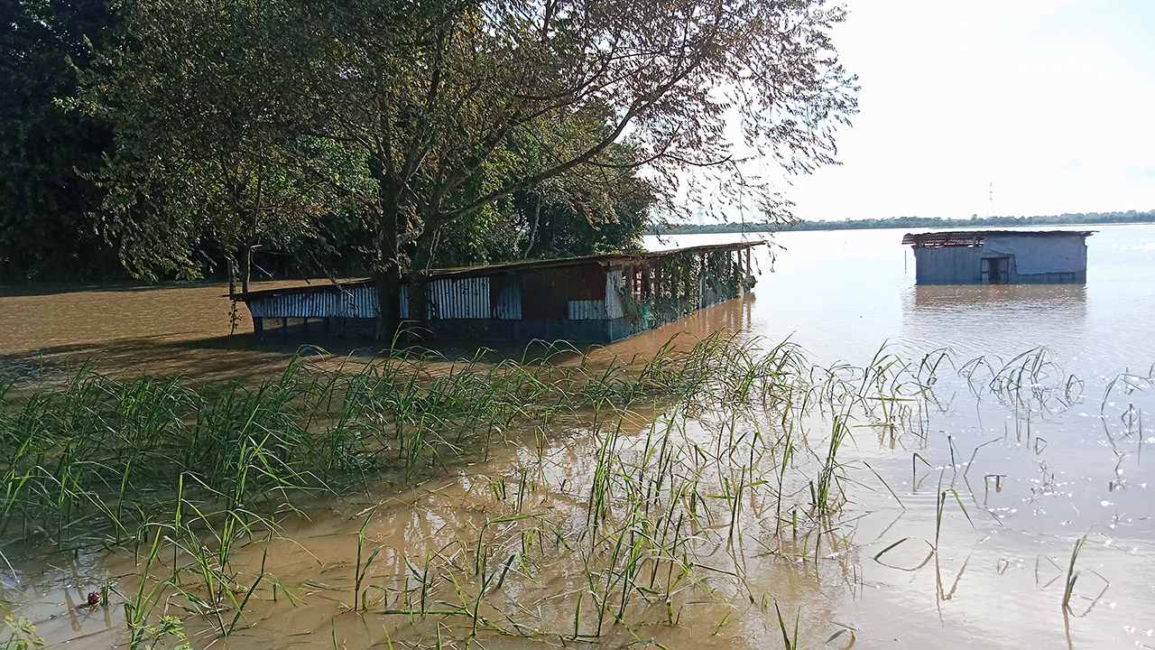 ভয়াবহ বন্যায় কুমিল্লায় ৮৪৮ কোটি টাকার কৃষি ফসলের ক্ষতি