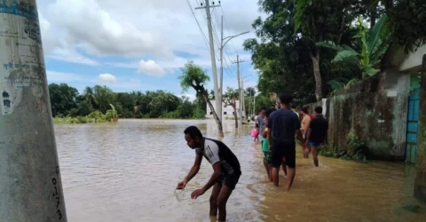 চৌদ্দগ্রামে পানি কমলেও বন্যা পরিস্থিতি অপরিবর্তিত