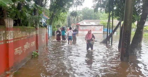 নোয়াখালীতে সাপের কামড়ে ৩৫ জন হাসপাতালে, দ্রব্যমূল্যের উর্ধ্বগতি