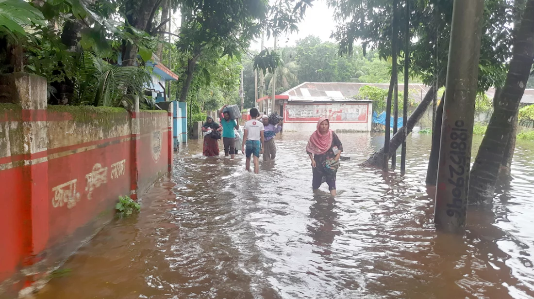 নোয়াখালীতে সাপের কামড়ে ৩৫ জন হাসপাতালে, দ্রব্যমূল্যের উর্ধ্বগতি