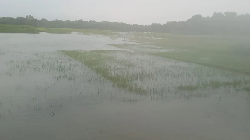 পদ্মার প্রবেশমুখে ২৪ ঘণ্টায় পানি বেড়েছে ৭ সেন্টিমিটার