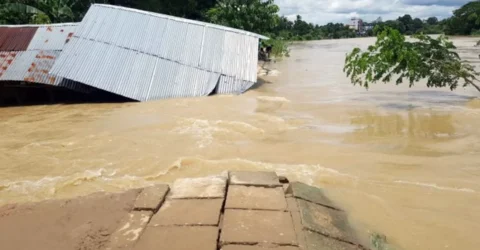 চট্টগ্রামে বন্যায় মৎস্য খাতে ক্ষতি ২৯০ কোটি টাকা