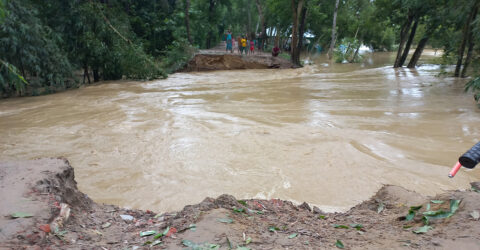 ফেনীতে বন্যায় মৎস্য খাতে ২৮ কোটি টাকার ক্ষতি