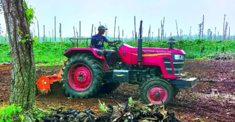 মধুপুরে গজারি বন জুড়ে হালচাষ