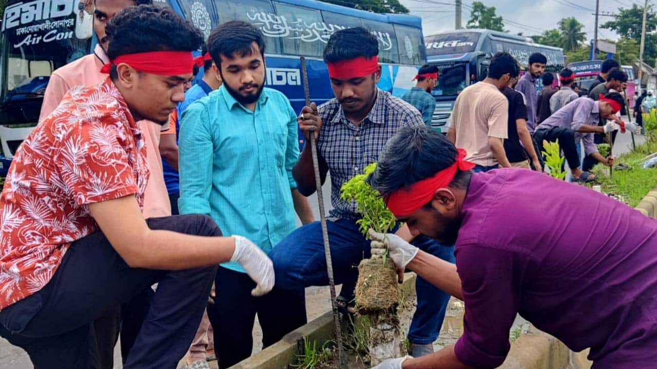 জমানো টাকা দিয়ে সড়কে বৃক্ষরোপণ করলেন শিক্ষার্থীরা