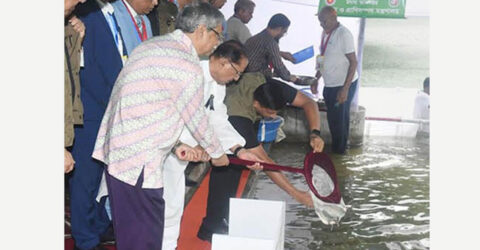 বঙ্গভবনের পুকুরে মাছের পোনা অবমুক্ত করলেন রাষ্ট্রপতি