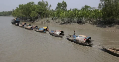 সুন্দরবনে আবারও বেপরোয়া বনদস্যুরা