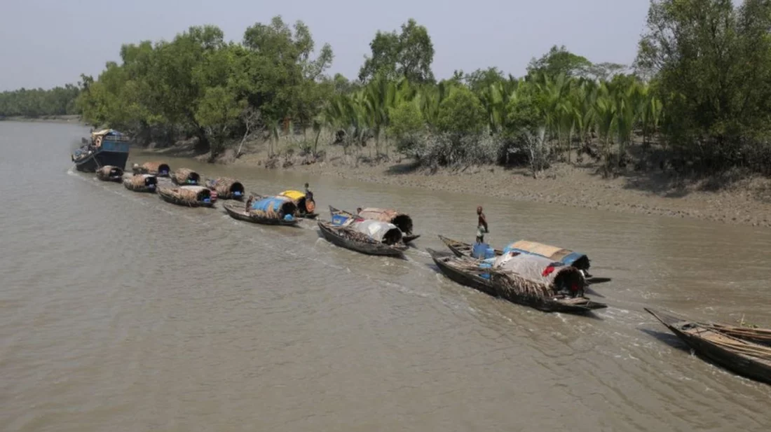 সুন্দরবনে আবারও বেপরোয়া বনদস্যুরা