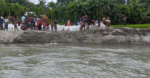 কুড়িগ্রামে গ্রামবাসীর স্বেচ্ছাশ্রম-চাঁদায় নদী ভাঙন রোধের চেষ্টা