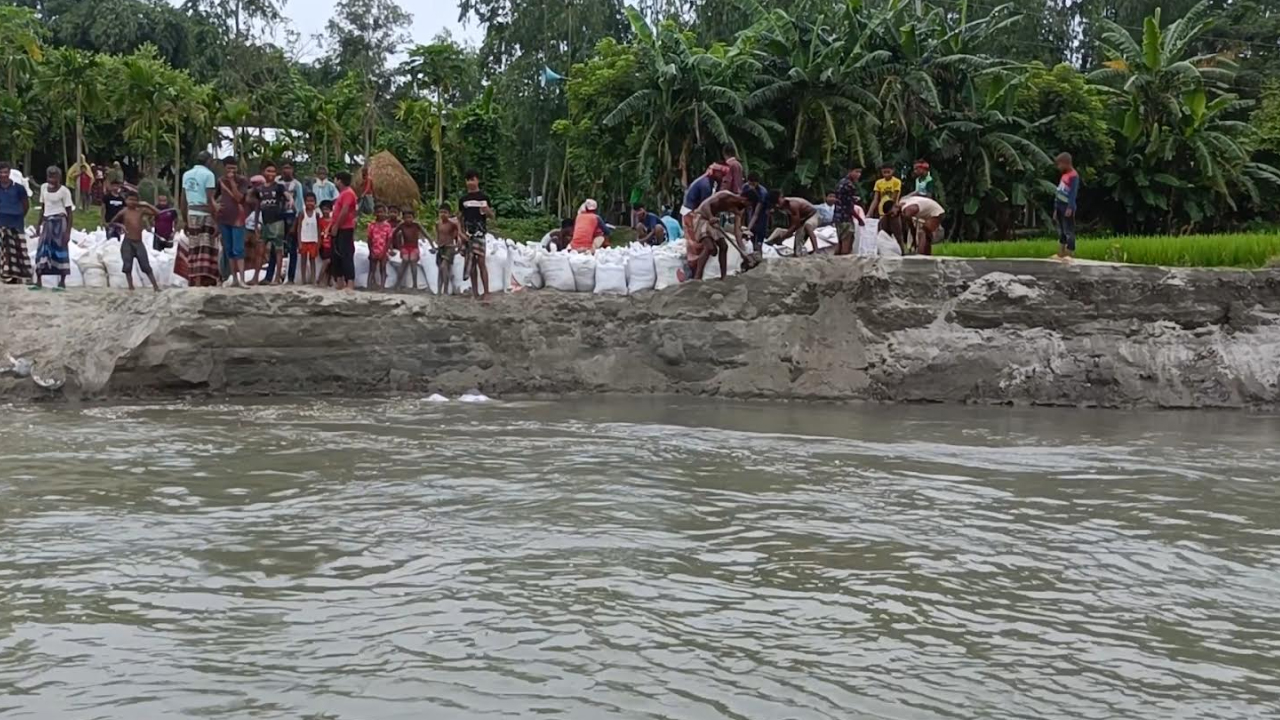 কুড়িগ্রামে গ্রামবাসীর স্বেচ্ছাশ্রম-চাঁদায় নদী ভাঙন রোধের চেষ্টা