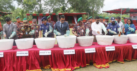 বিজিবির অভিযানে জব্দ ৩৫ কোটি টাকার মাদকদ্রব্য ধ্বংস