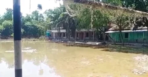 কুমিল্লায় কমছে বন্যার পানি, বিধ্বস্ত বাড়িঘরে ফিরছে মানুষ