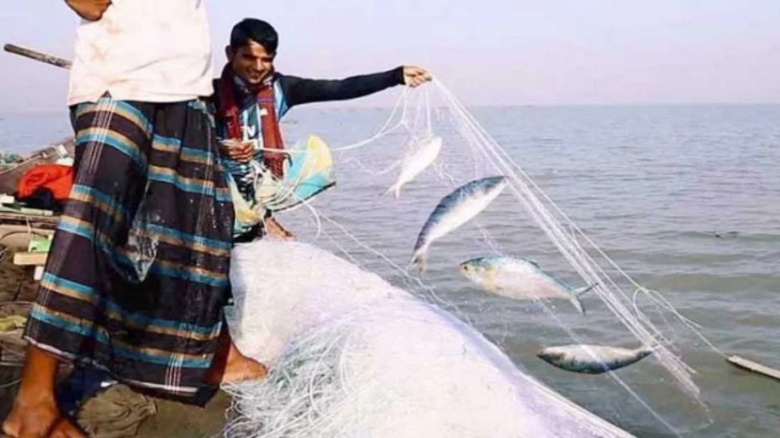 ১৩ অক্টোবর থেকে ২২ দিন ইলিশ ধরা নিষিদ্ধ