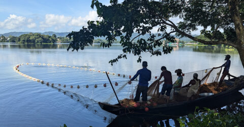 কাপ্তাই হ্রদে মাছ আহরণ শুরু, চাঁদার কারণে নামেননি অনেক জেলে