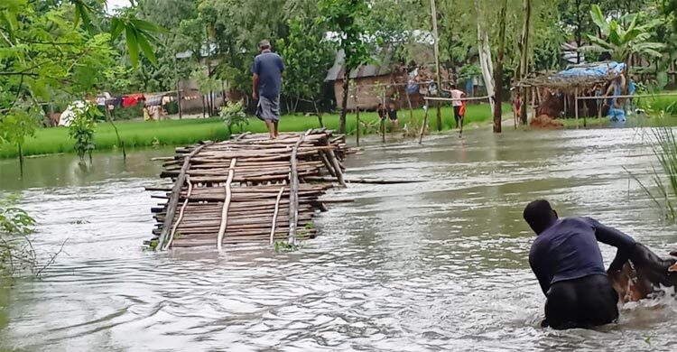 টানা বর্ষণে ভেঙে গেছে বাঁশের সাঁকো, দুর্ভোগে গ্রামবাসী