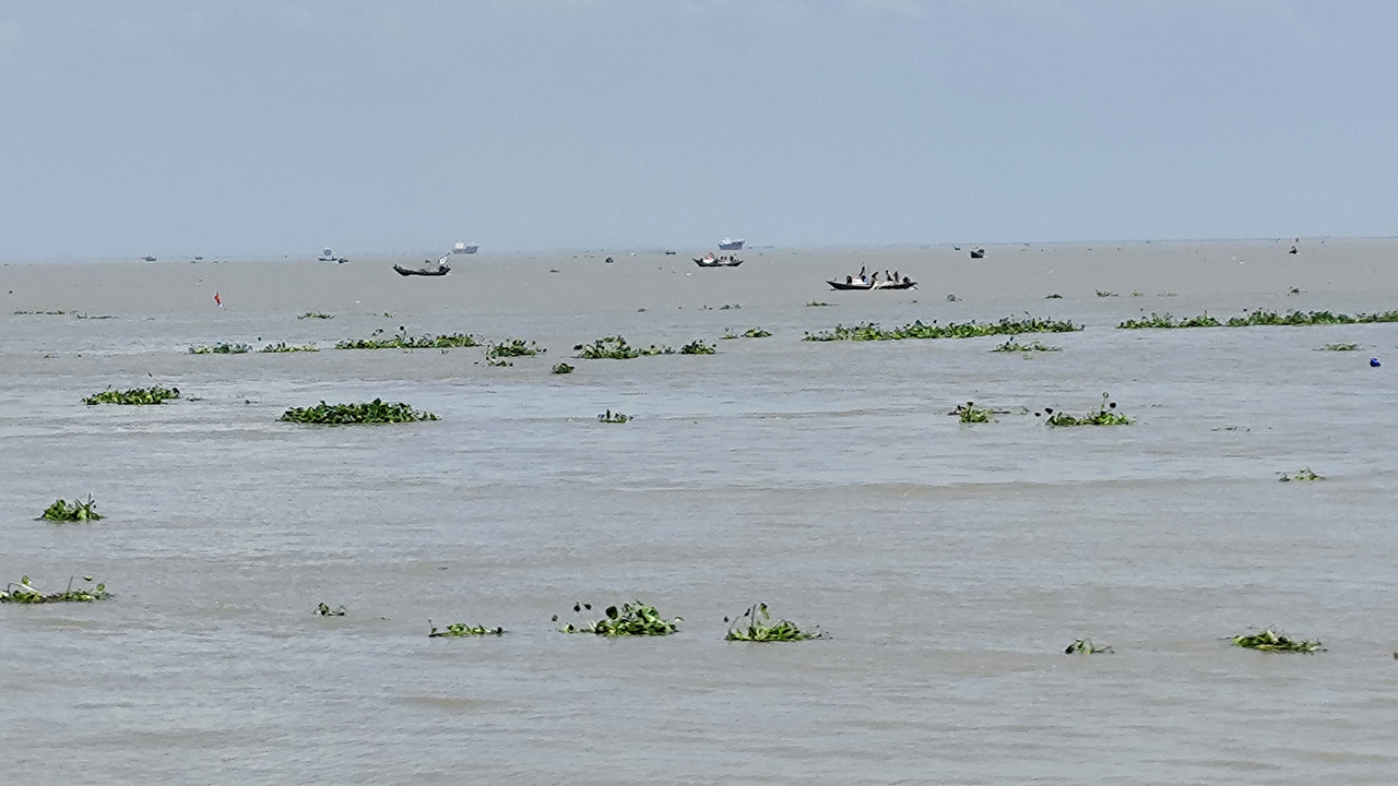 ভোলায় মেঘনার তীরে পড়ে ছিল তরুণীর মরদেহ