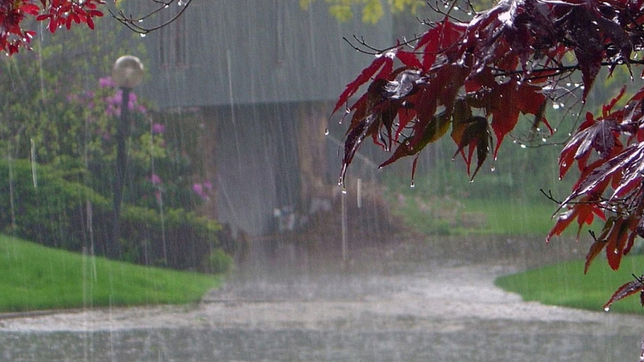 কোথাও হালকা কোথাও মাঝারি বর্ষণ হতে পারে