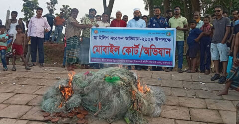 রাজবাড়ীতে ১১৬ কেজি ইলিশ জব্দ, ৩ জেলের কারাদণ্ড