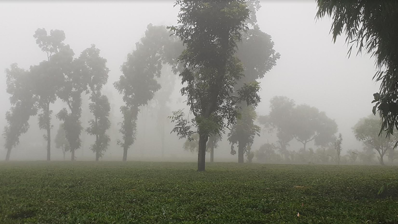 পঞ্চগড়ে ১৭.৮ ডিগ্রি সেলসিয়াস তাপমাত্রা রেকর্ড