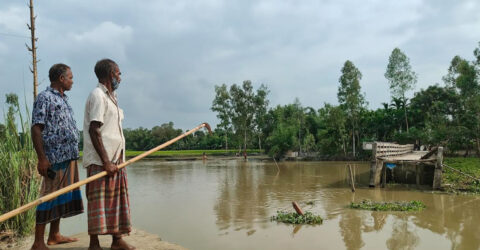 ‘ব্রিজখ্যান যে ঠিক করা নাগবে, সেই চিন্তা কারো মাথাত নাই’