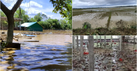 ভয়াবহ বন্যার ২ মাস : ফেনীতে খাদ্য নিরাপত্তা নিয়ে উদ্বেগ