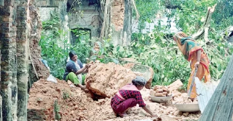 মজিদপুর জমিদারবাড়ির ভবনে ধস, ইট-সুরকি নিয়ে যাচ্ছে স্থানীয়রা